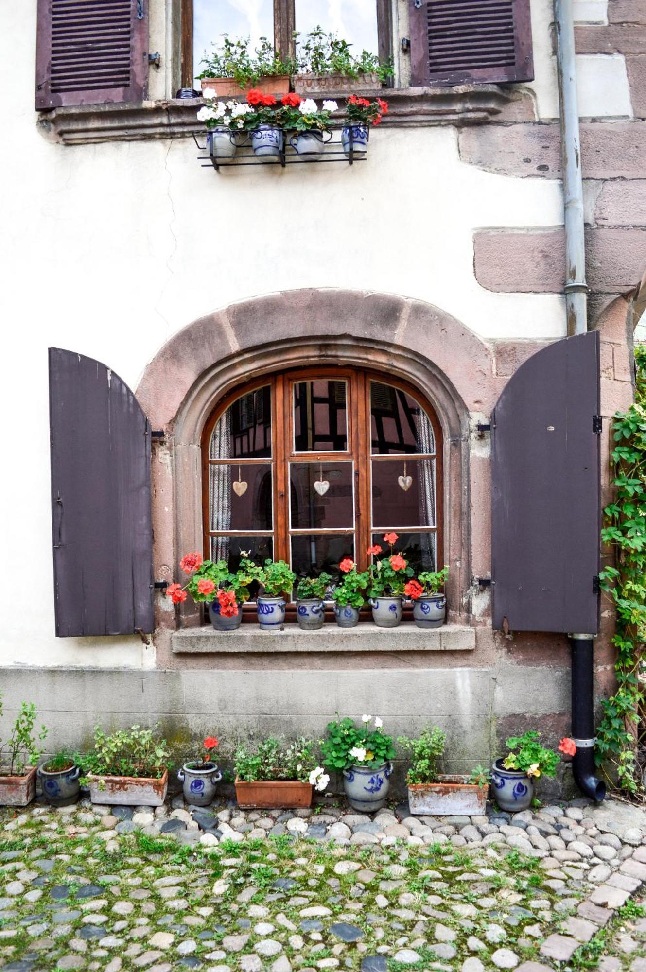 Chaud'Vin Apartment Kaysersberg-Vignoble Bagian luar foto