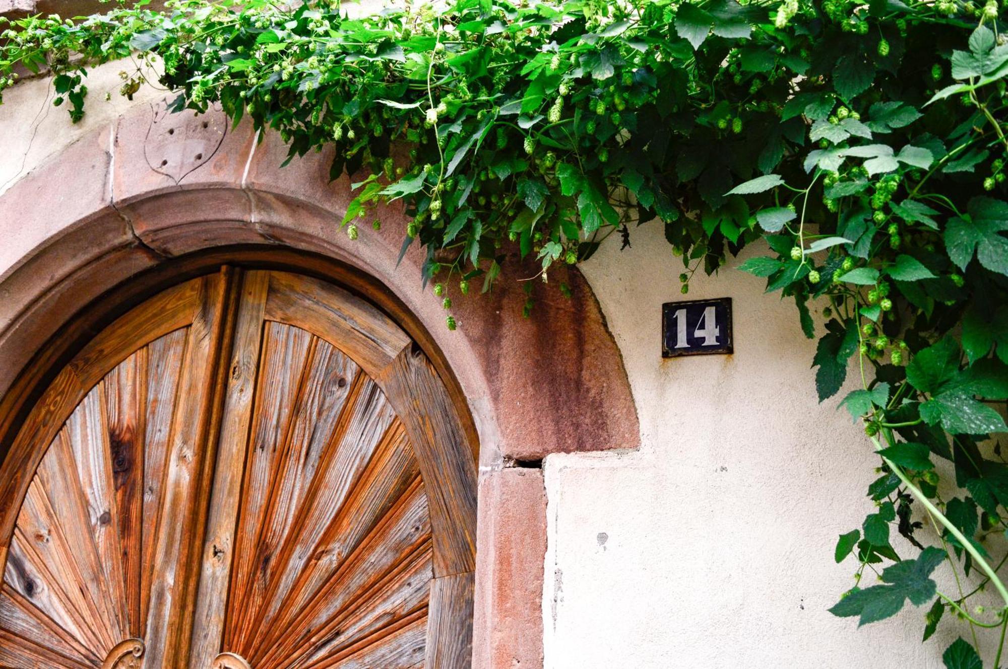 Chaud'Vin Apartment Kaysersberg-Vignoble Bagian luar foto
