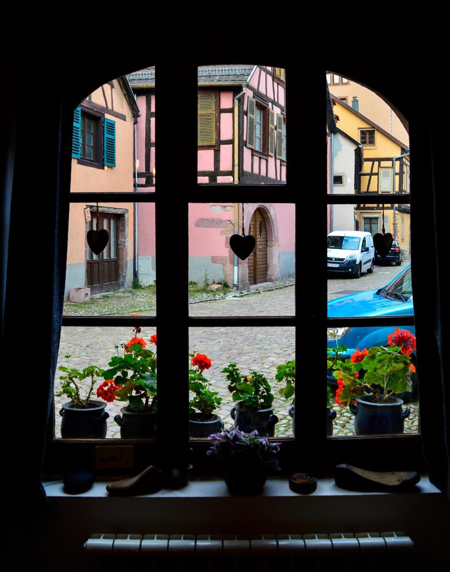 Chaud'Vin Apartment Kaysersberg-Vignoble Bagian luar foto